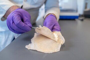 اختراع شگفتانگیز دانشمند ایرانی در آمریکا اختراع شگفتانگیز دانشمند ایرانی در آمریکا