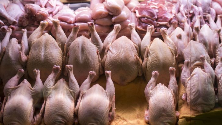 قیمت فیله مرغ در بازار چقدر است؟ + جدول قیمت فیله مرغ در بازار چقدر است؟ + جدول