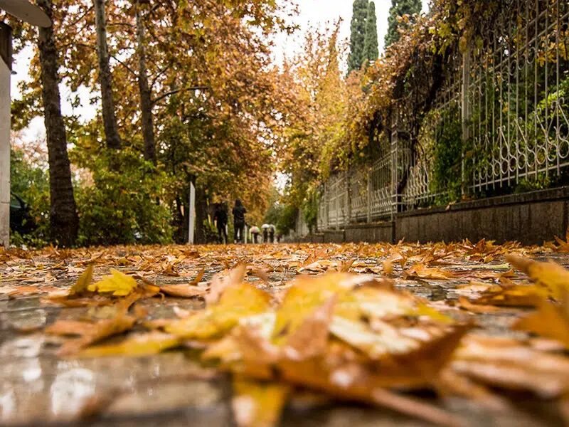سفر به شیراز در فصل پاییز زیبا و به یادماندنی سفر به شیراز در فصل پاییز زیبا و به یادماندنی
