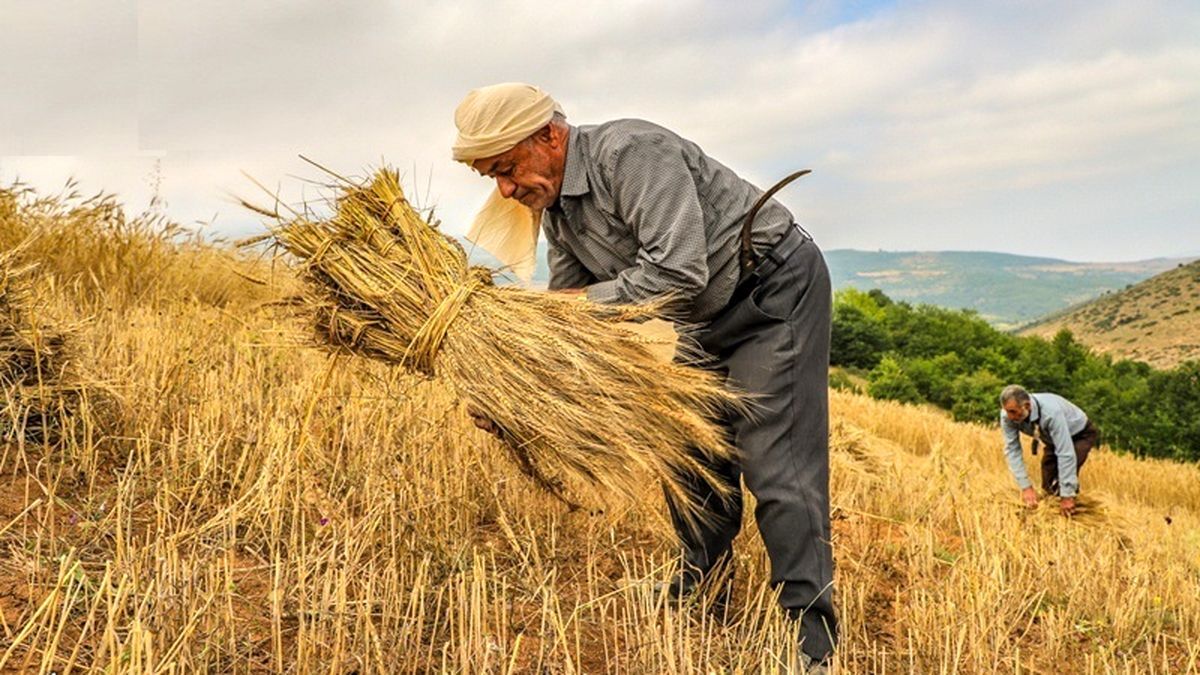 خبر خوب برای کشاورزان خبر خوب برای کشاورزان