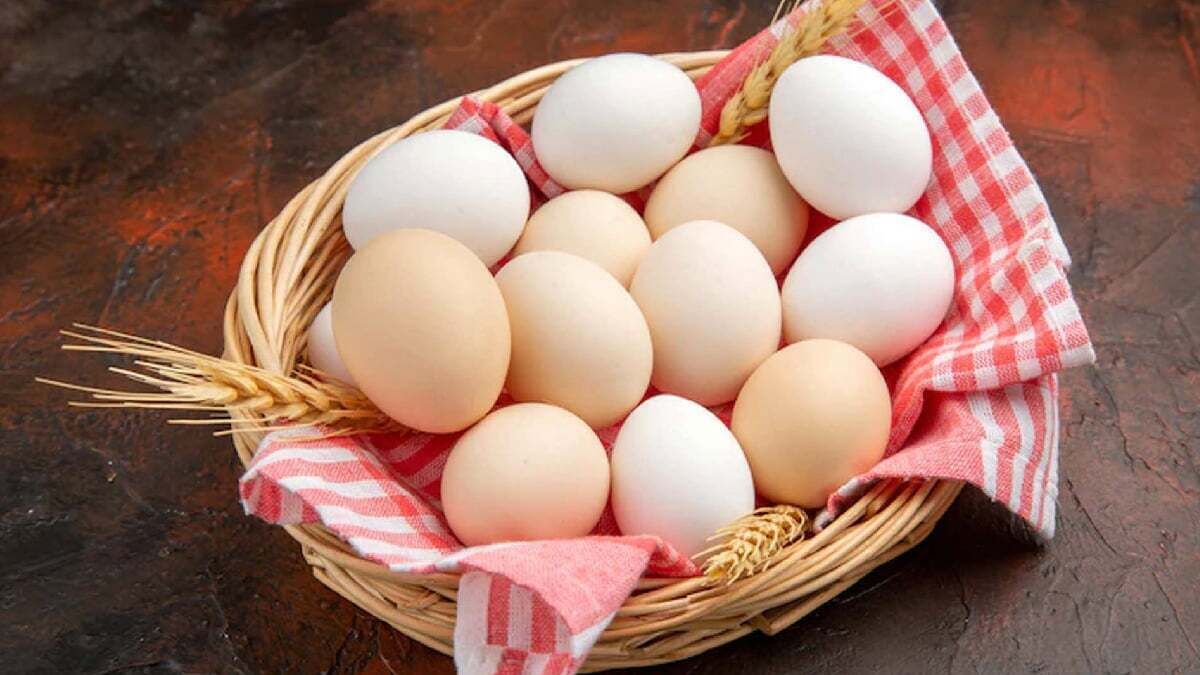 افزایش ۱۴۰ درصدی صادرات تخم مرغ نسبت به سال قبل افزایش ۱۴۰ درصدی صادرات تخم مرغ نسبت به سال قبل