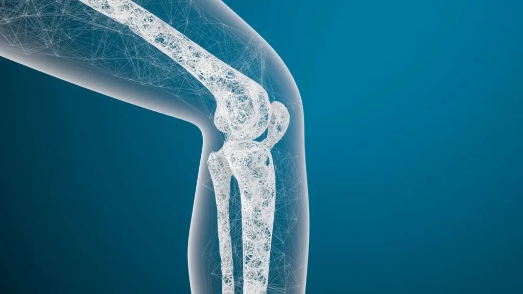 علت عمده پوکی استخوان چیست؟ علت عمده پوکی استخوان چیست؟