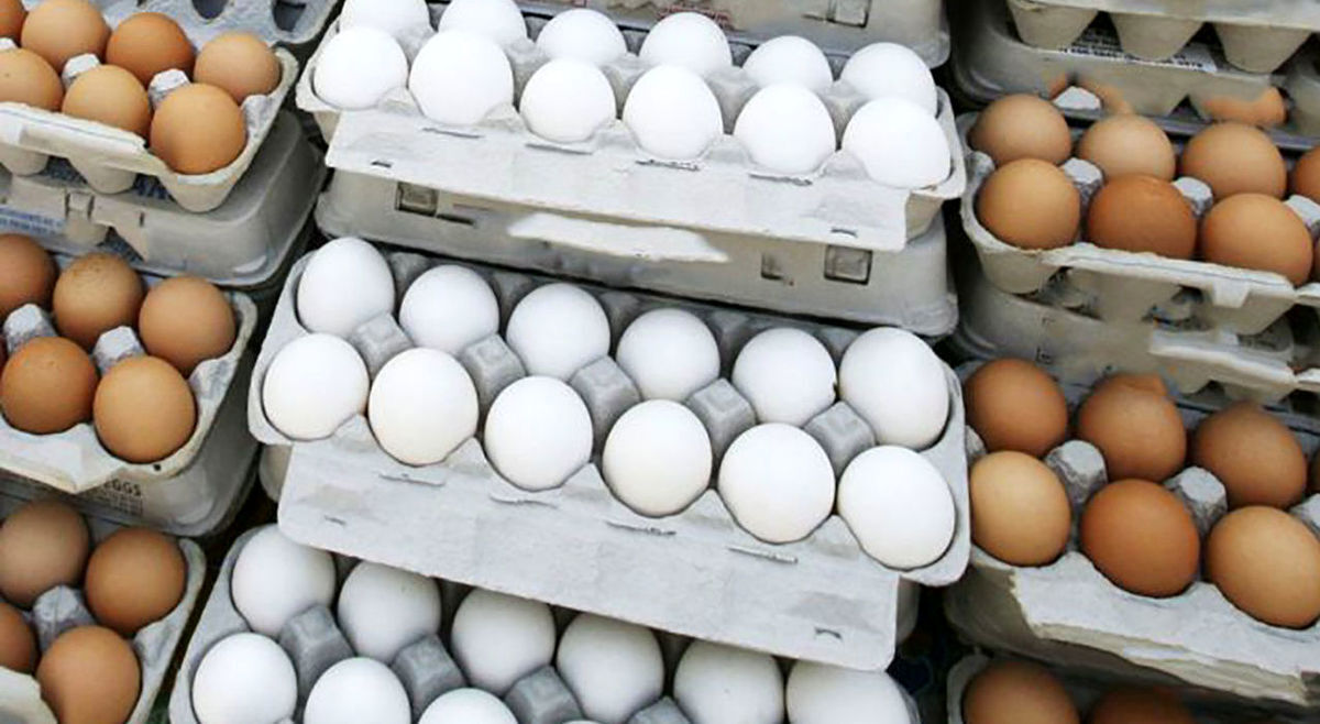 قیمت تخم مرغ شانه ای چند؟ + جدول قیمت تخم مرغ شانه ای چند؟ + جدول