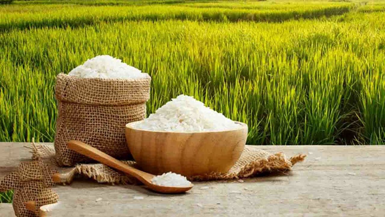 قیمت توافقی برنج شمال اعلام شد قیمت توافقی برنج شمال اعلام شد
