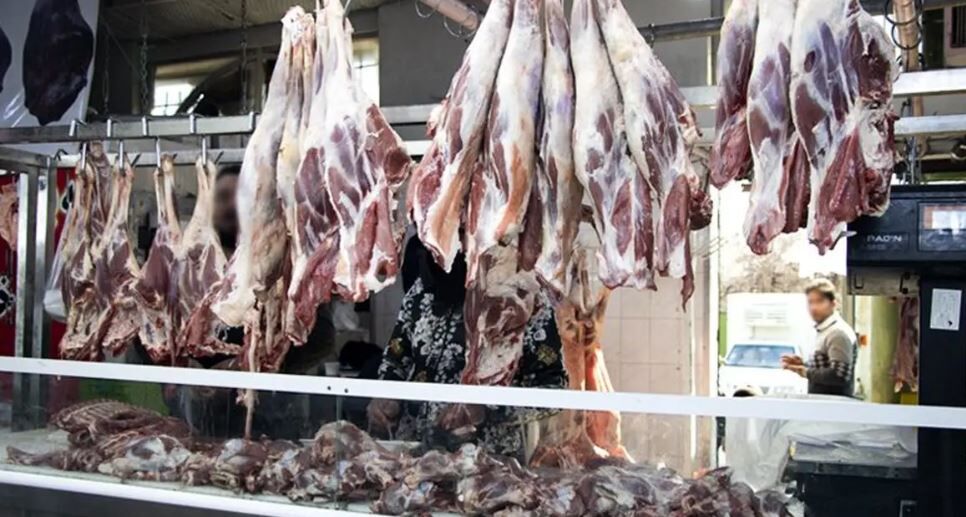 شیوه جدید عرضه گوشت وارداتی / صف گوشت دولتی جمع میشود! شیوه جدید عرضه گوشت وارداتی / صف گوشت دولتی جمع میشود!