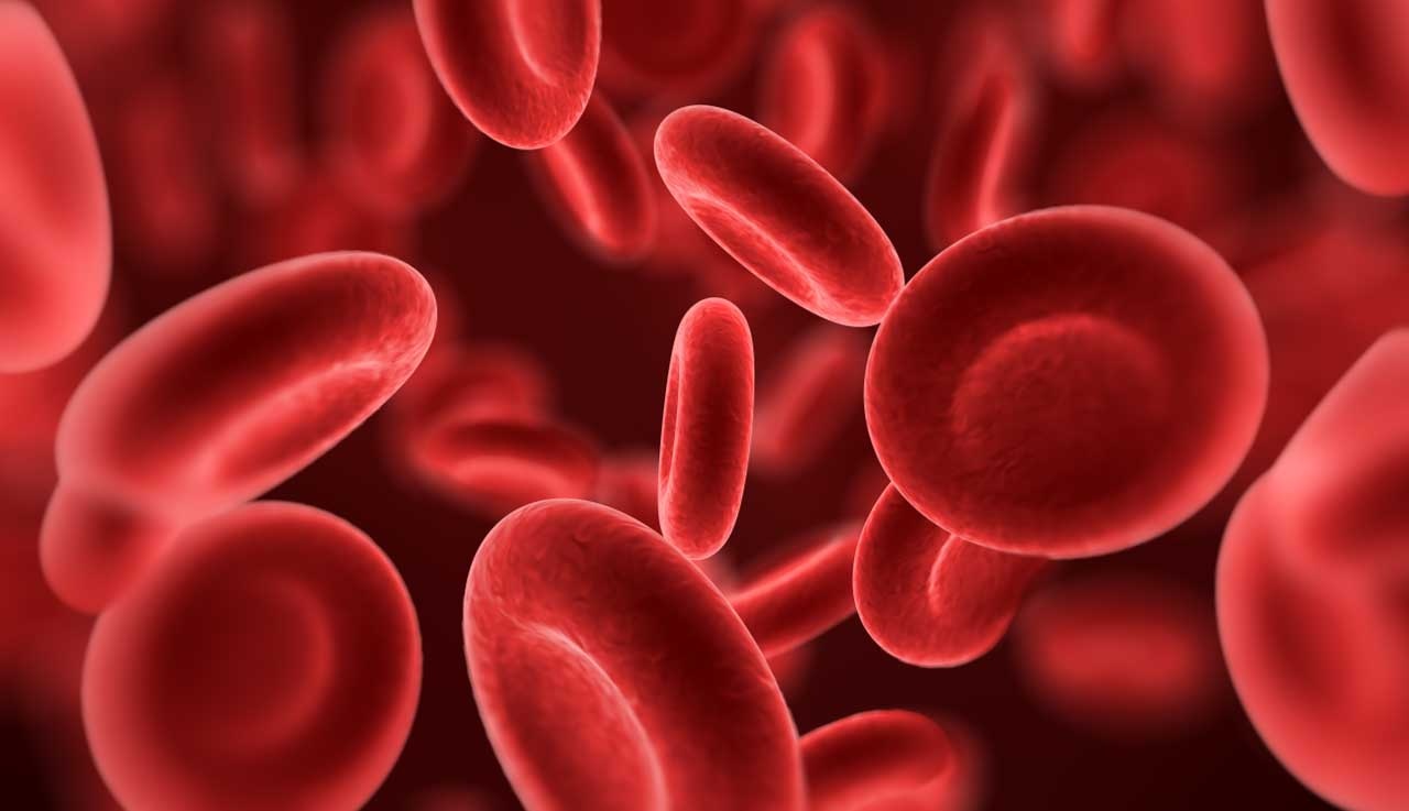 علایم کمخونی چیست؟ علایم کمخونی چیست؟