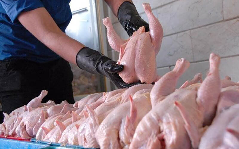 چقدر مرغ وارد بازار شد؟ چقدر مرغ وارد بازار شد؟