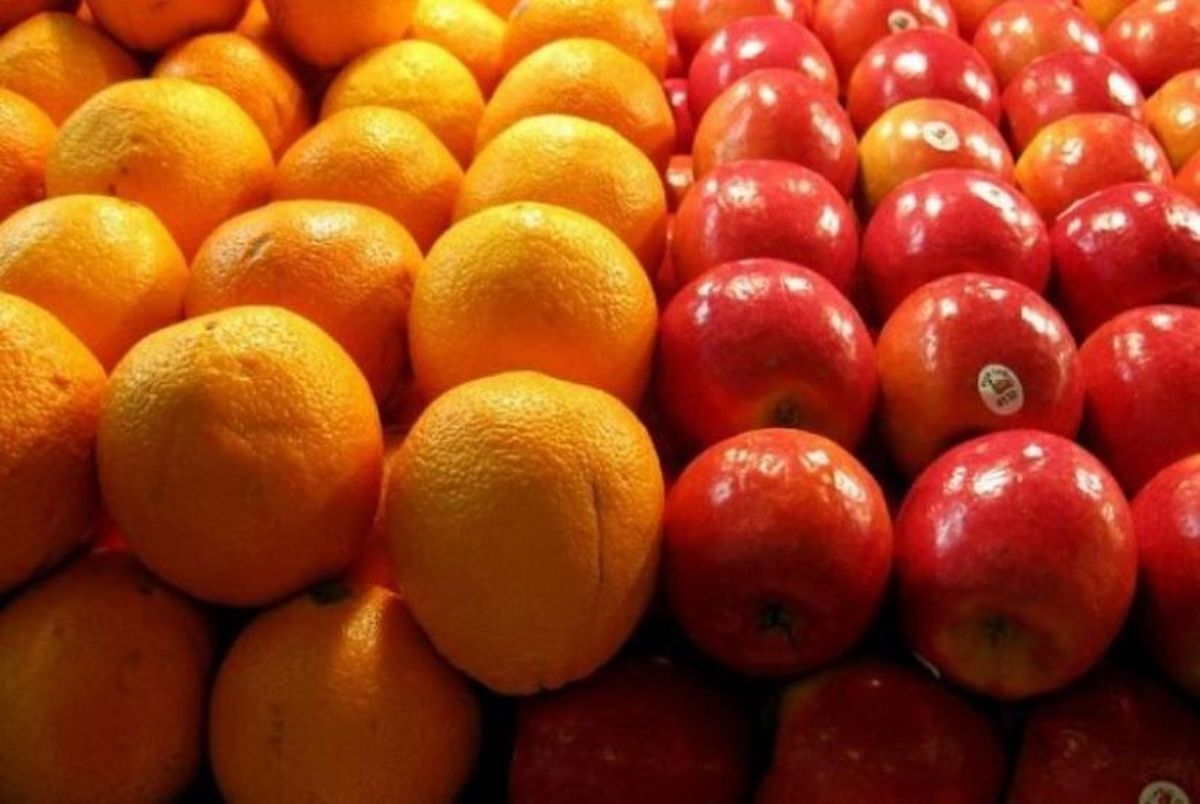 قیمت سیب و پرتغال عید چقدر شد؟ قیمت سیب و پرتغال عید چقدر شد؟
