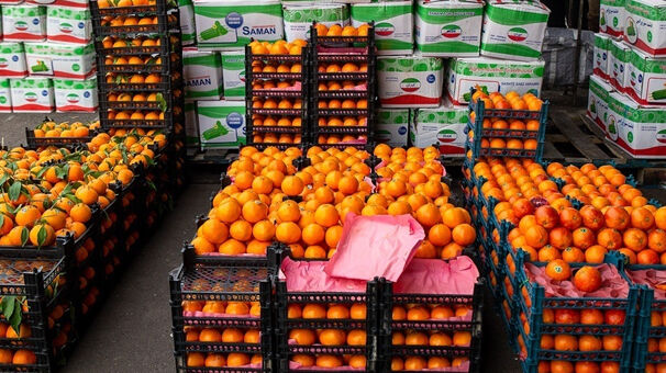 آخرین وضعیت ذخایره میوه برای عید نوروز آخرین وضعیت ذخایره میوه برای عید نوروز