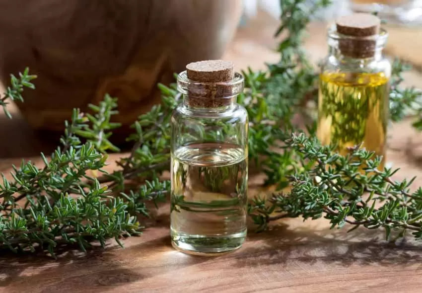 آنتی بیوتیک های قوی خانگی که خطرات کمی برای بدن دارند آنتی بیوتیک های قوی خانگی که خطرات کمی برای بدن دارند