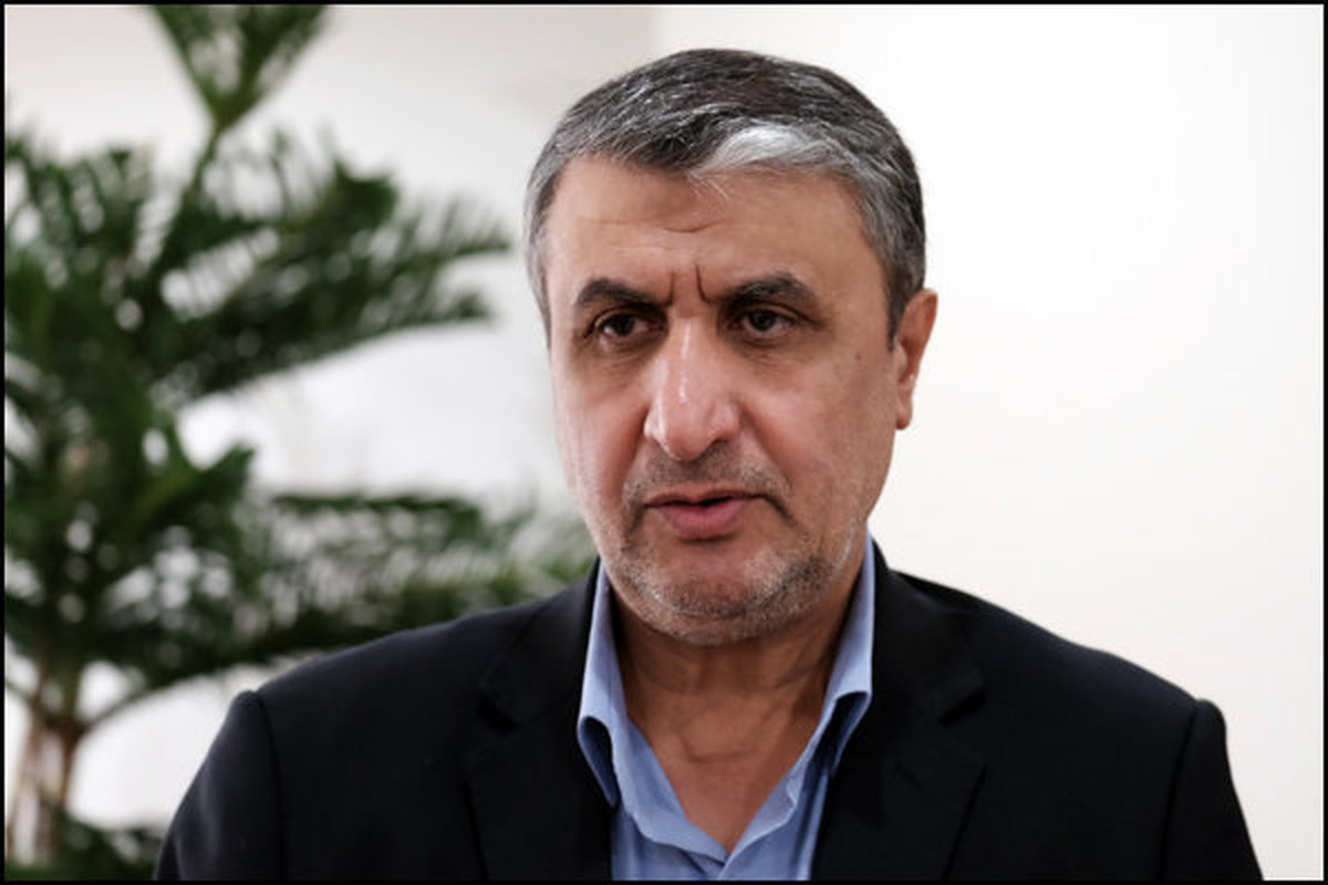 پیش بینی رییس سازمان انرژی اتمی از آینده برجام / آژانس مسئول مذاکرات نیست پیش بینی رییس سازمان انرژی اتمی از آینده برجام / آژانس مسئول مذاکرات نیست