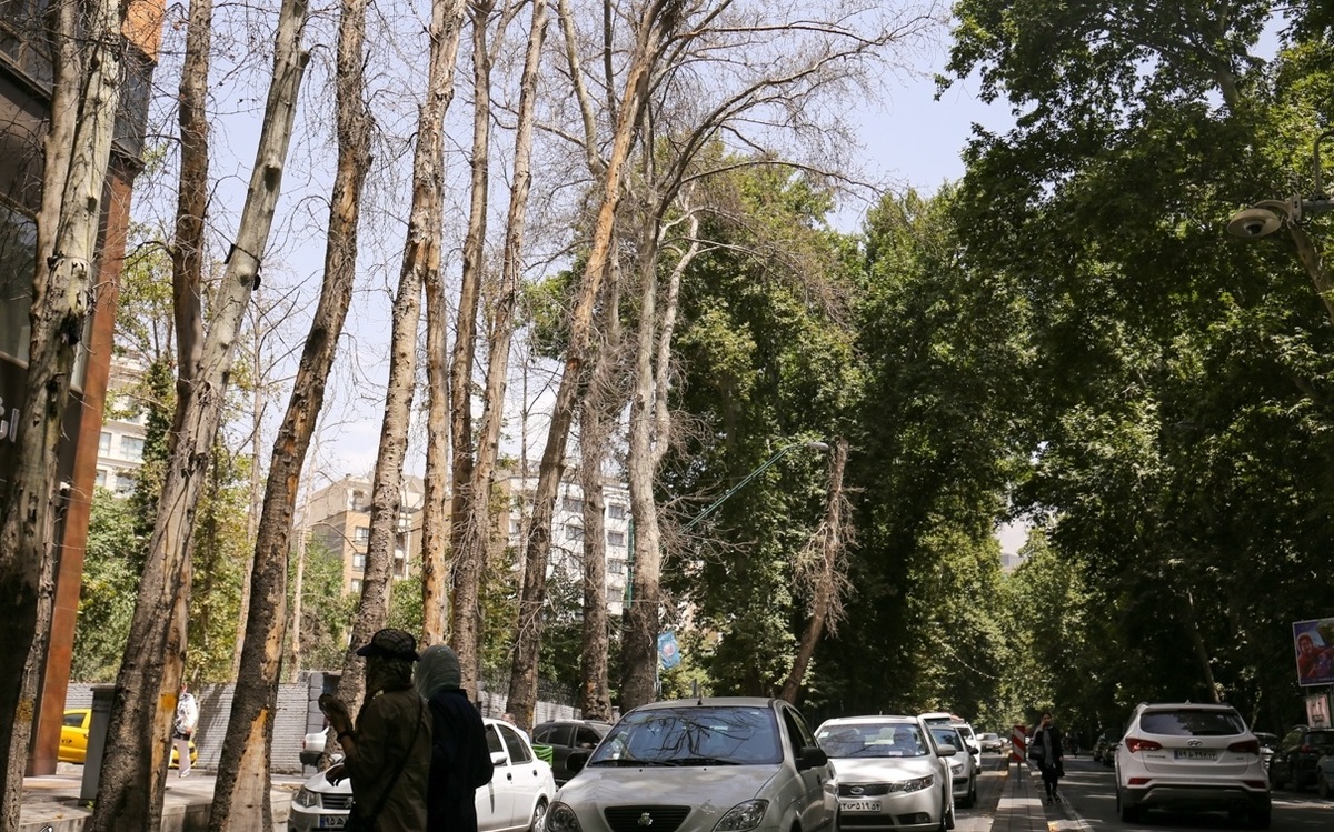 خاطره انگیزترین خیابان تهران چگونه ساخته شد؟ + عکس خاطره انگیزترین خیابان تهران چگونه ساخته شد؟ + عکس