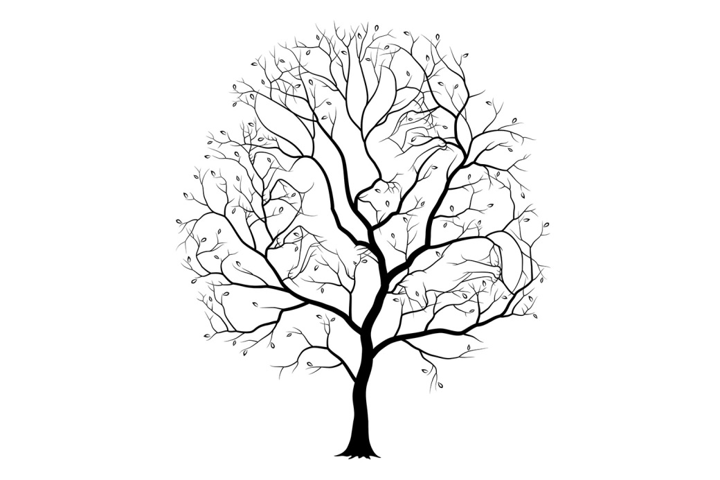 تست بینایی؛ چند حیوان روی درخت پنهان شده؟ تست بینایی؛ چند حیوان روی درخت پنهان شده؟