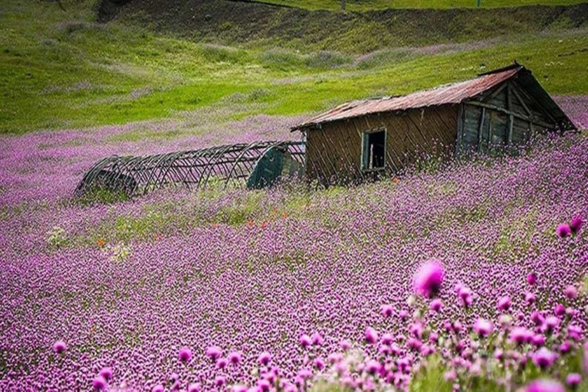 آشنایی با ۲ منطقه بکر ایران / اینجا یک گوشه از بهشت است + عکس آشنایی با ۲ منطقه بکر ایران / اینجا یک گوشه از بهشت است + عکس