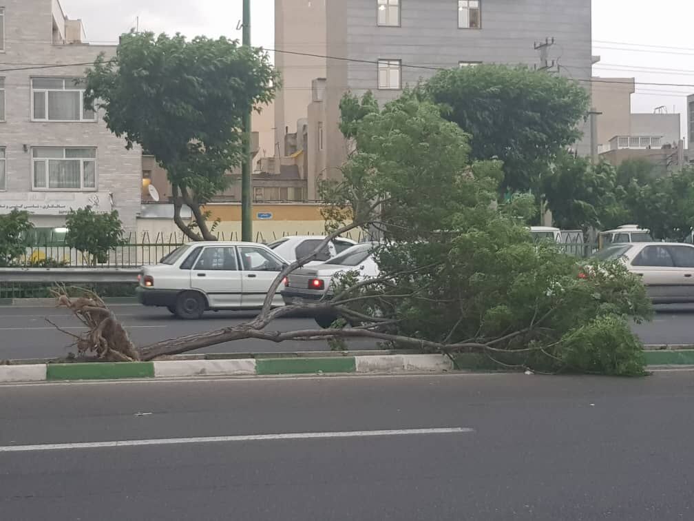 این استان ها منتظر باد شدید و رگبار باران باشند این استان ها منتظر باد شدید و رگبار باران باشند