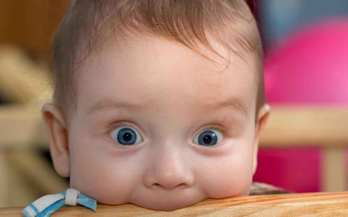 چرا کودکان دوست دارند گاز بگیرند؟ چرا کودکان دوست دارند گاز بگیرند؟