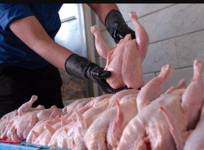 برخورد قانونی شدید با گرانفروشی مرغ برخورد قانونی شدید با گرانفروشی مرغ