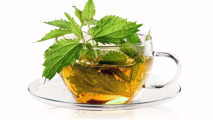 دمنوش گزنه و معجزه درمان کم خونی دمنوش گزنه و معجزه درمان کم خونی