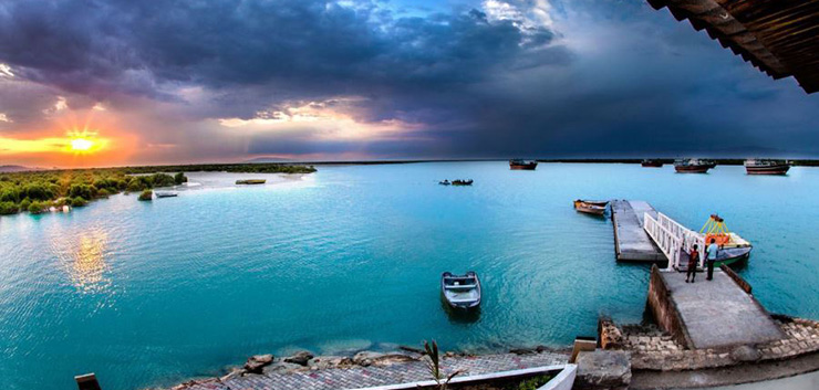 جنگل دریایی حرا در میان آبهای خلیجفارس + عکس جنگل دریایی حرا در میان آبهای خلیجفارس + عکس