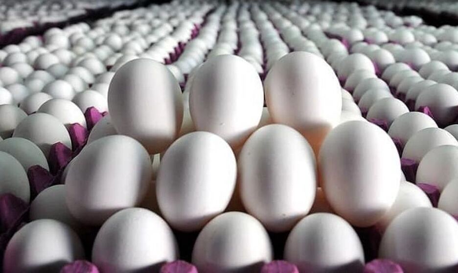 قیمت تخم مرغ تازه بسته ۶ عددی چند؟ + جدول