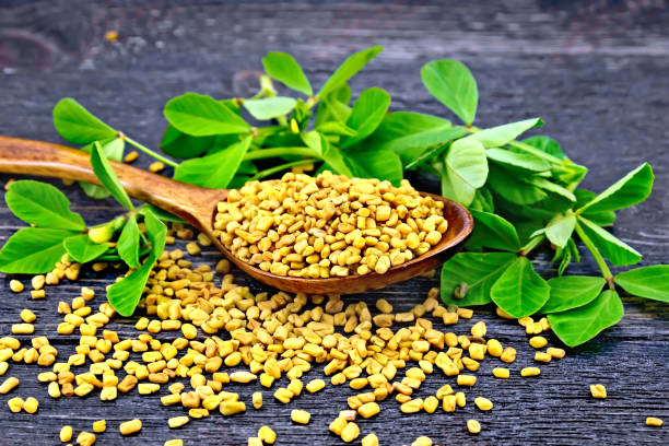 گیاهی که برای دیابتیها مثل انسولین عمل میکند گیاهی که برای دیابتیها مثل انسولین عمل میکند