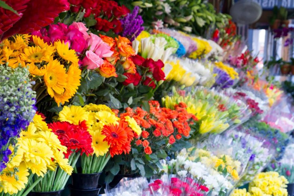 ایرانیها چه گلهایی را هدیه میدهند؟ ایرانیها چه گلهایی را هدیه میدهند؟