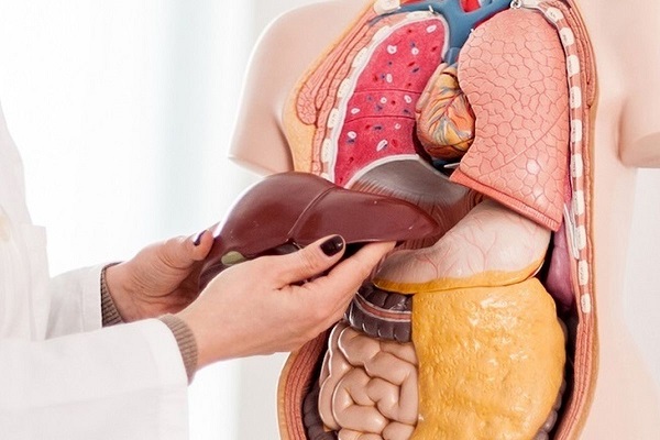 کثیفترین عضو بدن را بشناسید کثیفترین عضو بدن را بشناسید