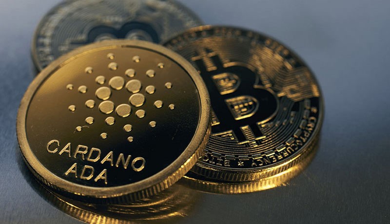 نکات استفاده از کیف پول صرافی ارز دیجیتال نکات استفاده از کیف پول صرافی ارز دیجیتال