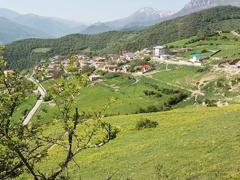 سفر کوتاه کجا بریم؟ / بهترین زمان سفر به جنگل ارفع ده + چگونه به جنگل ارفع ده برویم سفر کوتاه کجا بریم؟ / بهترین زمان سفر به جنگل ارفع ده + چگونه به جنگل ارفع ده برویم