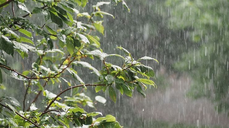 رگبار باران و وزش باد شدید برای برخی استانها رگبار باران و وزش باد شدید برای برخی استانها