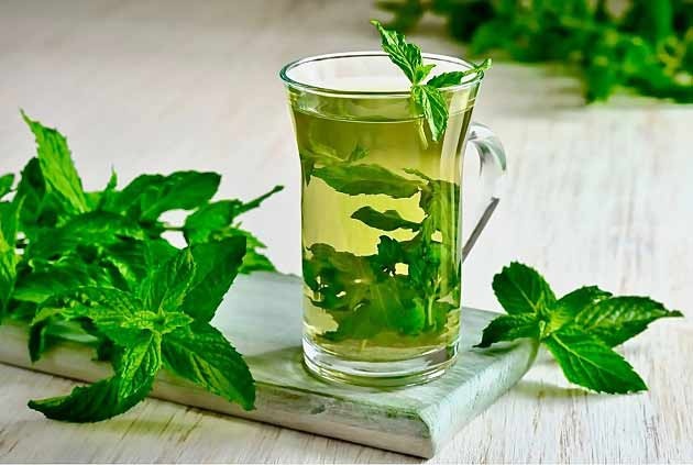 خوردن عرق نعنا و نعنا برای این افراد ممنوع خوردن عرق نعنا و نعنا برای این افراد ممنوع