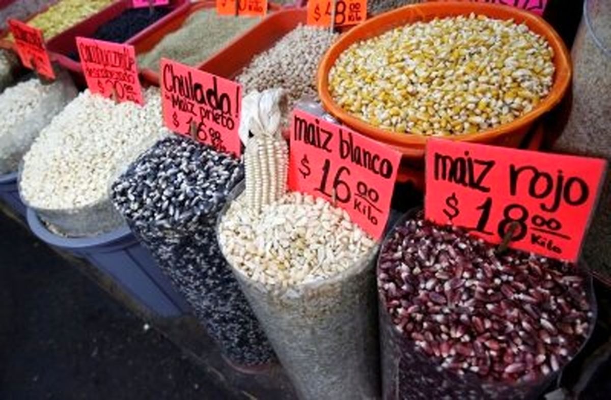 قیمت جهانی مواد غذایی بر مدار صعود قیمت جهانی مواد غذایی بر مدار صعود