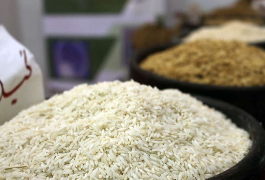 قیمت برنج شمال کیلویی چند؟ + جدول (شالیزارهای گیلان، گلستان، فریدونکار و...) قیمت برنج شمال کیلویی چند؟ + جدول (شالیزارهای گیلان، گلستان، فریدونکار و...)