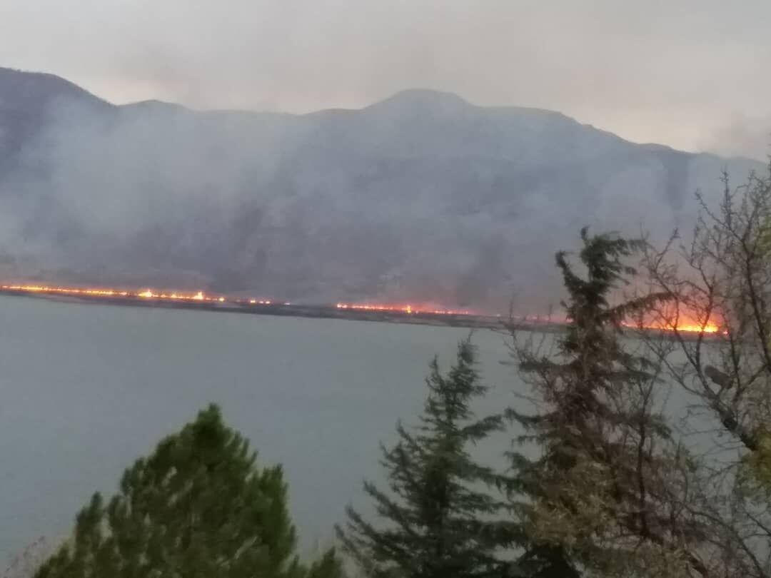 دستگیری ۱۴ نفر از عاملین آتشسوزی جنگلهای مریوان دستگیری ۱۴ نفر از عاملین آتشسوزی جنگلهای مریوان