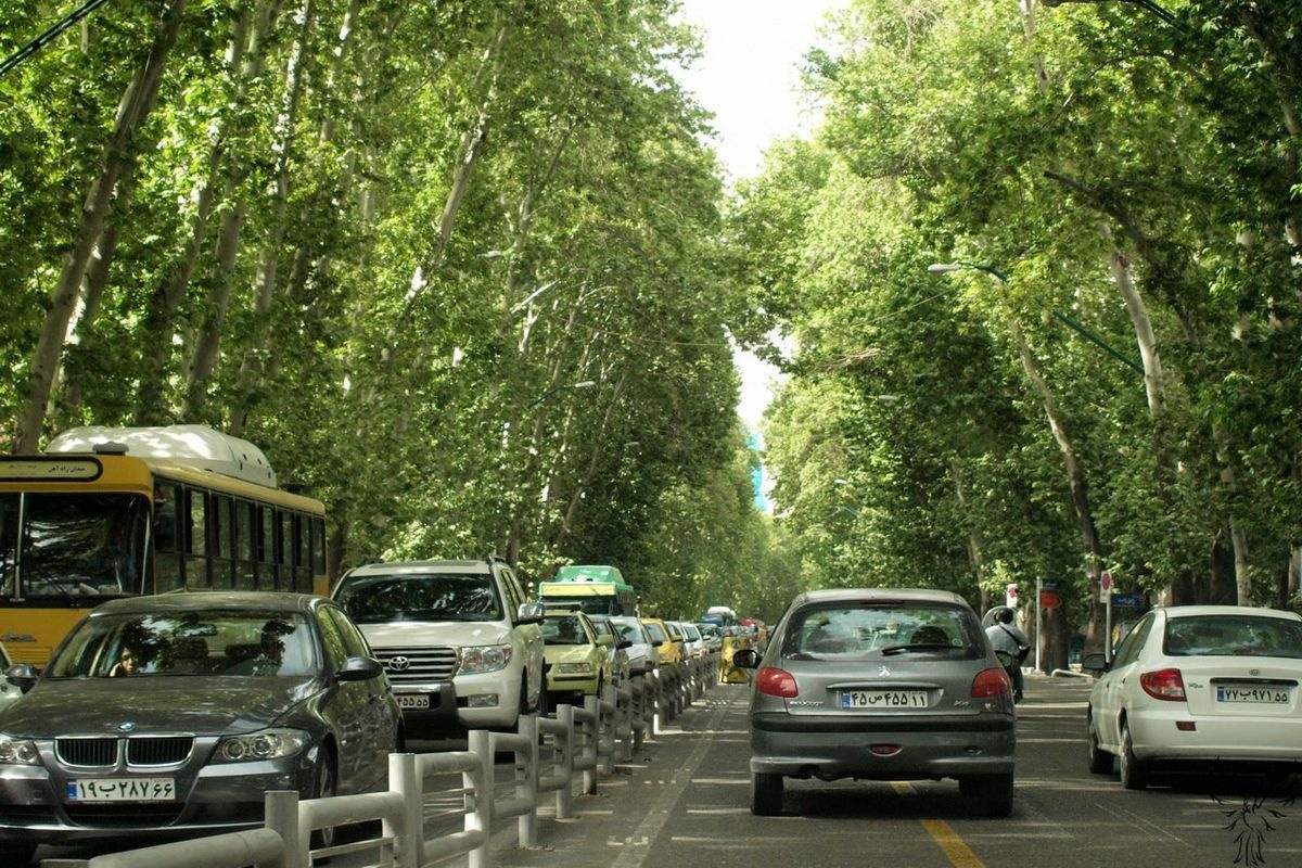 سرانجام پرونده خشک شدن درختان خیابان ولیعصر به کجا رسید؟ سرانجام پرونده خشک شدن درختان خیابان ولیعصر به کجا رسید؟