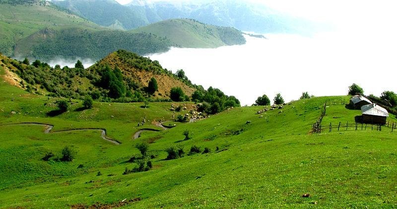 لذت طبیعتگردی در شمال لذت طبیعتگردی در شمال