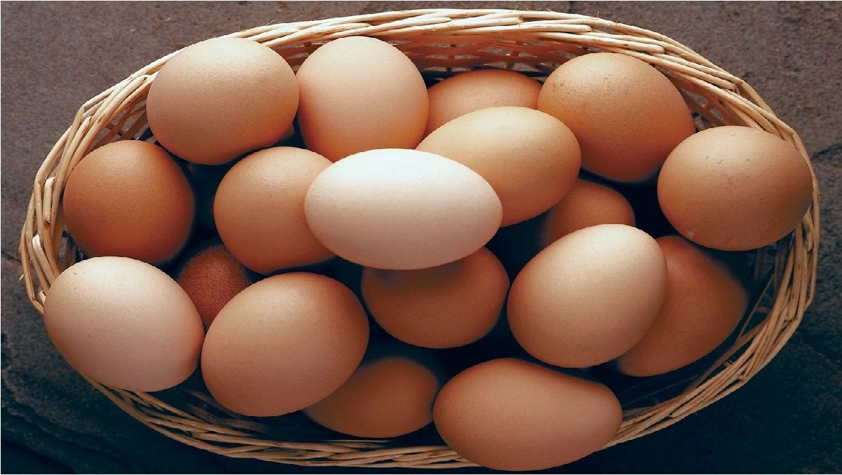 قیمت تخم مرغ بسته ی ۹ عددی چند؟ + جدول قیمت تخم مرغ بسته ی ۹ عددی چند؟ + جدول