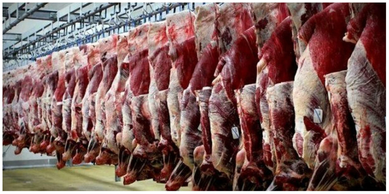 قیمت گوشت گوسفندی چند؟ + جدول (۱۳شهریور) قیمت گوشت گوسفندی چند؟ + جدول (۱۳شهریور)