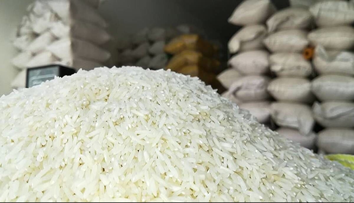 قیمت برنج شمال امروز کیلویی چند؟ + جدول (نیمدانه، هاشمی، معطر، دودی و...) قیمت برنج شمال امروز کیلویی چند؟ + جدول (نیمدانه، هاشمی، معطر، دودی و...)