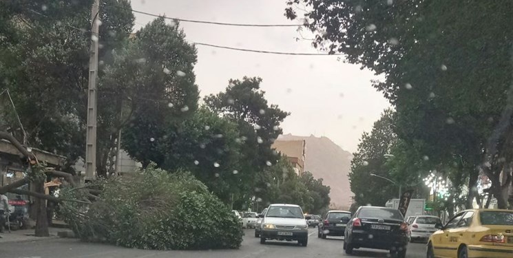 هشدار به تهرانیها؛ وزش باد شدید در راه است هشدار به تهرانیها؛ وزش باد شدید در راه است