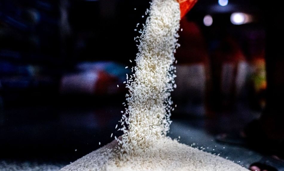 لیست قیمت برنج ایرانی درجه یک + جدول (نیمدانه، معطر، هاشمی، استخوانی و...) لیست قیمت برنج ایرانی درجه یک + جدول (نیمدانه، معطر، هاشمی، استخوانی و...)