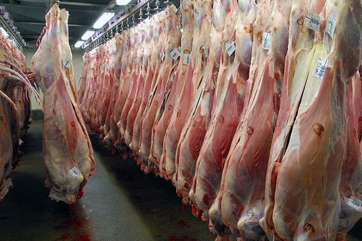قیمت گوشت گوسفندی گرم تنظیم بازار امروز چند؟ + جدول قیمت گوشت گوسفندی گرم تنظیم بازار امروز چند؟ + جدول