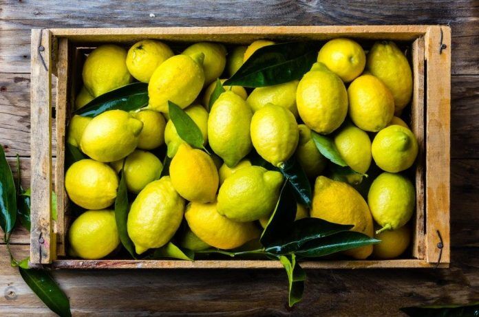مسئلهی لیمو چیست؟ مسئلهی لیمو چیست؟
