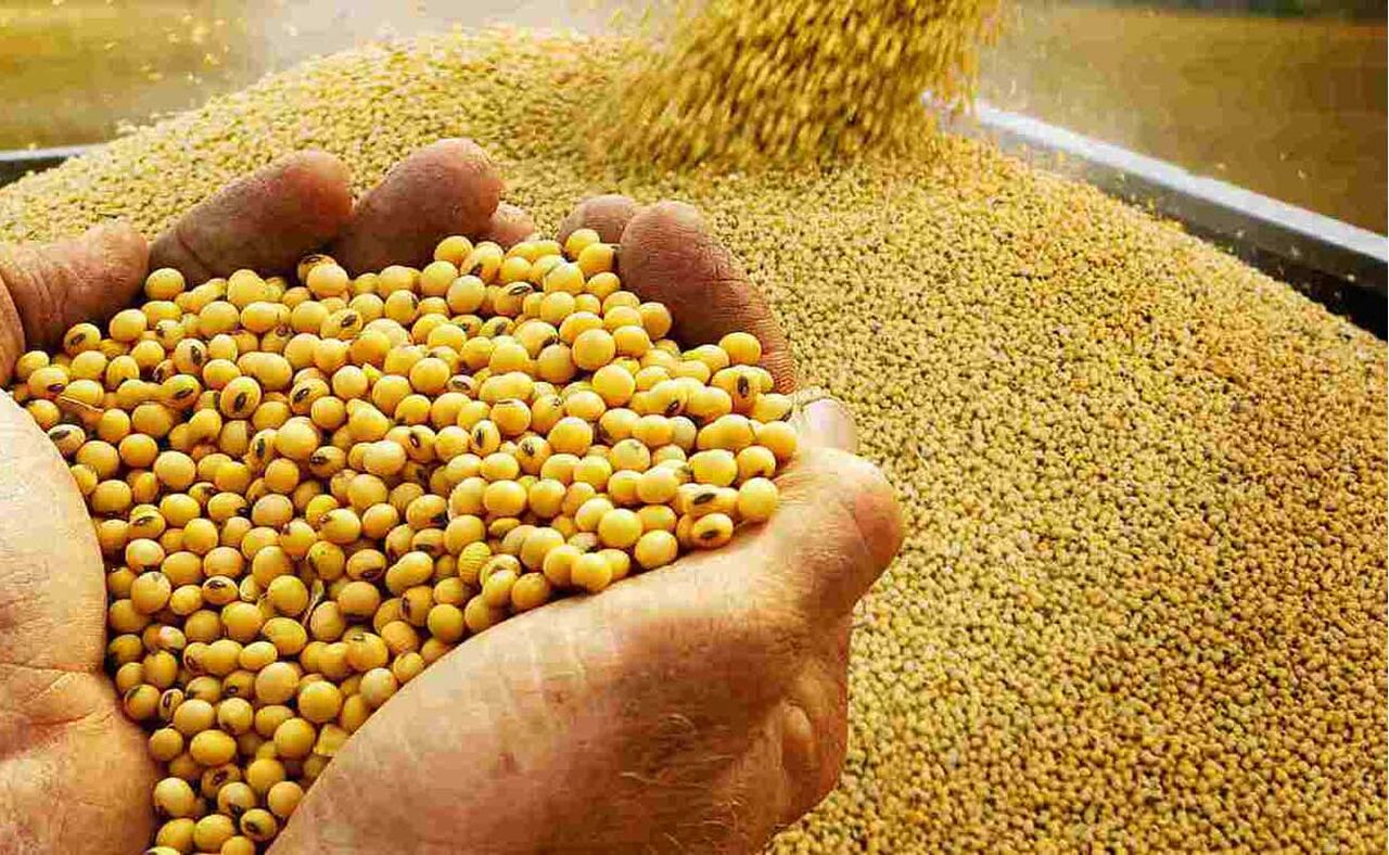 سود بازرگانی کنجاله سویا تغییر کرد سود بازرگانی کنجاله سویا تغییر کرد