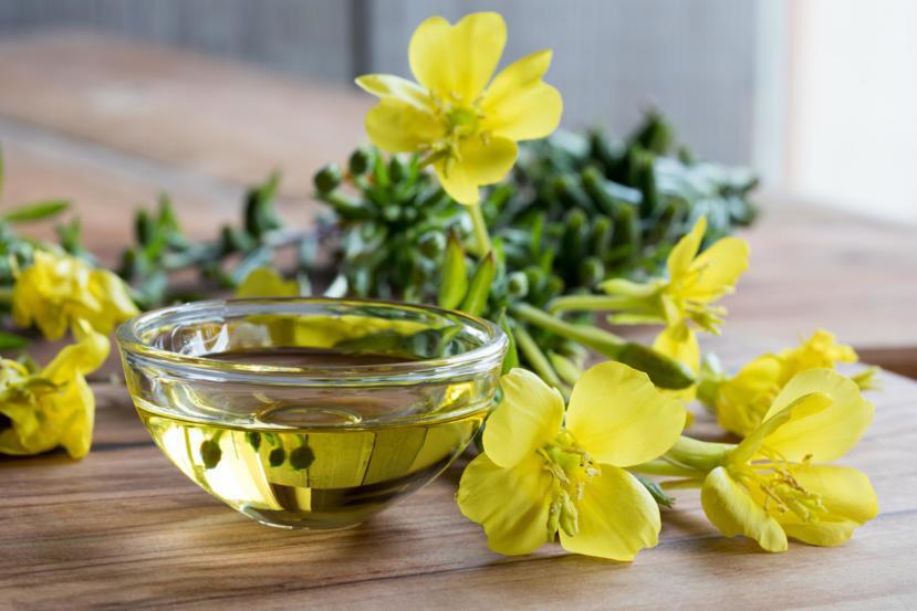 گیاه جادویی و معطر برای مبارزه با ۶ ویروس خطرناک گیاه جادویی و معطر برای مبارزه با ۶ ویروس خطرناک