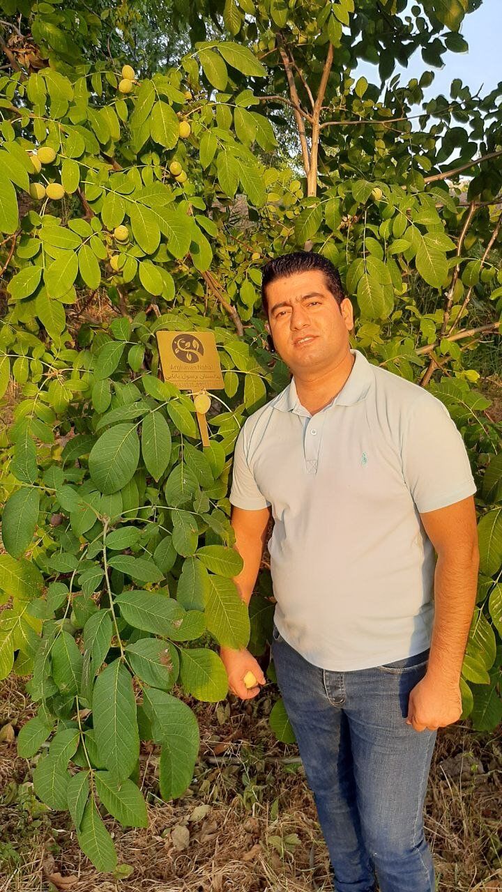 میلیاردر شدن با خرید نهال گردو و بادام میلیاردر شدن با خرید نهال گردو و بادام