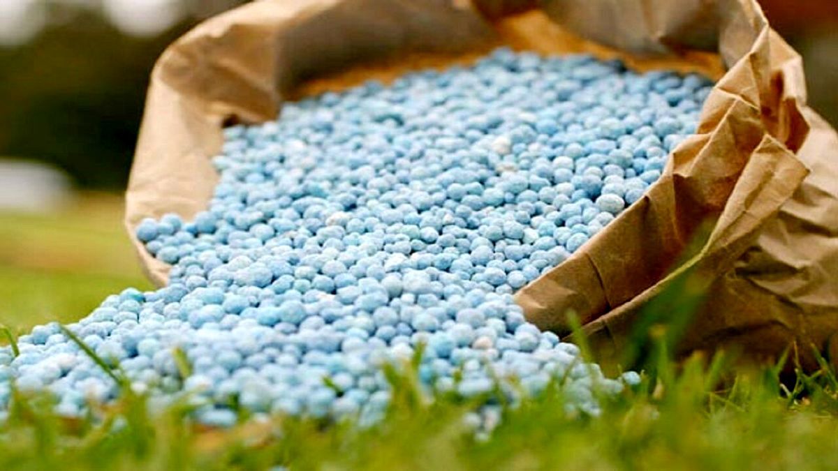 خبر خوب برای کشاورزان / افزایش قیمت کود پسگرفته شد خبر خوب برای کشاورزان / افزایش قیمت کود پسگرفته شد
