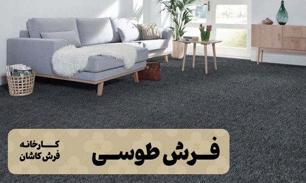 راهنمای جامع خرید فرش طوسی برای دکوراسیون داخلی منزل راهنمای جامع خرید فرش طوسی برای دکوراسیون داخلی منزل