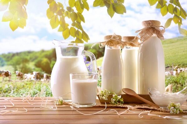 چرا شیر پاستوریزه برای کودکان ضرر دارد؟ + لیست قیمت انواع شیر پاستوریزه و محلی چرا شیر پاستوریزه برای کودکان ضرر دارد؟ + لیست قیمت انواع شیر پاستوریزه و محلی
