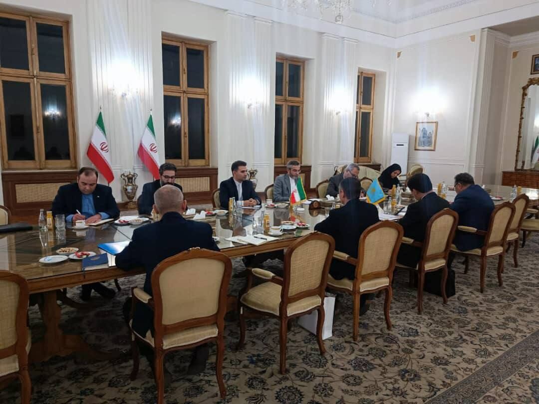 دیدار علی باقری با معاونان وزیران خارجه روسیه و قزاقستان در تهران دیدار علی باقری با معاونان وزیران خارجه روسیه و قزاقستان در تهران